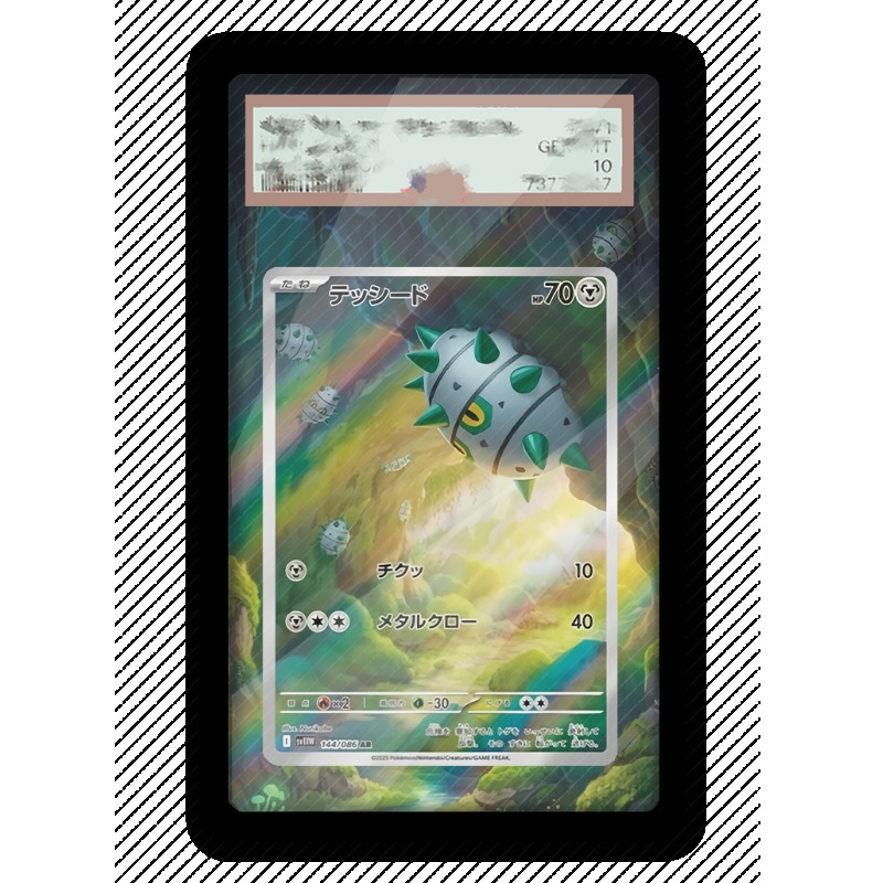 Art Display for Pokemon Ferros - Anime Merchandise From Japan ulasan dan harga